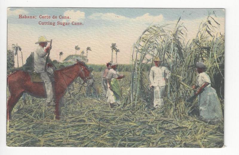 Vintage Caribbean Advertisement Postcard - See Ad On Reverse (AH36)