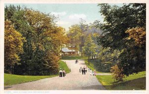 Forest Park Drive Springfield Massachusetts 1910c Phostint postcard