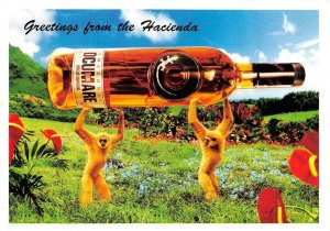 Venezuela, OCUMARE ANEJO RUM Advertising  BOTTLE~Monkeys  4¼x6 OVERSIZE Postcard