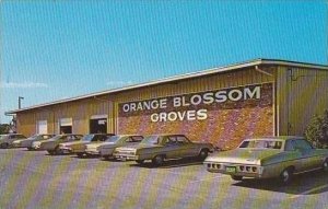 Florida Largo Orange Blossom Groves Citrus Store