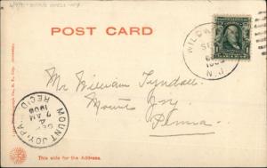 Boat at Hereford Inlet Anglesea NJ c1905 Postcard