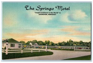 c1940's The Springs Motel Exterior Roadside Lexington Kentucky KY Trees Postcard