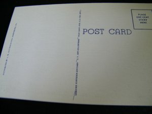 VINTAGE POSTCARD VIEW ALONG RIVERFRONT PARK HARRISBURG PA.