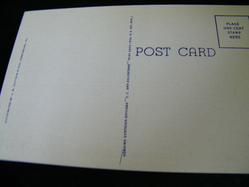 VINTAGE POSTCARD VIEW ALONG RIVERFRONT PARK HARRISBURG PA.