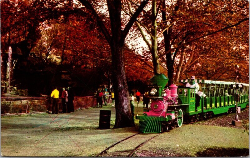 Postcard Zoo Line Railroad at Forest Park in St. Louis, Missouri