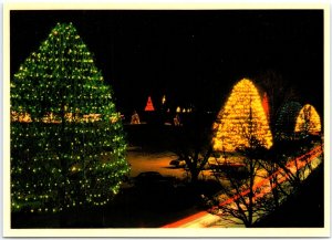 VINTAGE CONTINENTAL SIZE POSTCARD CHRISTMAS TREE LANE LONGWOOD GARDENS DELAWARE