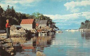 Fishing On high tide View Images 