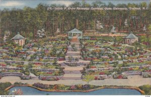 DURHAM , North Carolina , 1948s ; Sarah P. Duke Memorial Gardens, Duke Univer...