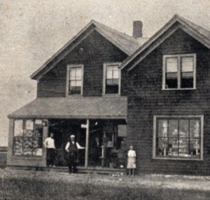 Ocean Grove MA Massachusetts Market Store Cap Cod Postcard