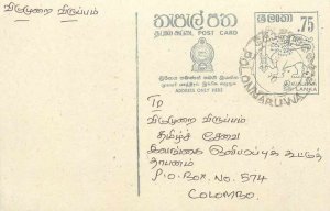 Entier Postal Stationery Postal Sri Lanka Ceylon Lion