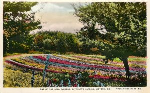 Postcard Canada 1930s Victoria Butchart Gardens Seed Gardens RPPC 23-8051
