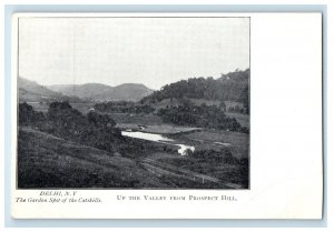 c1905 Up The Valley From Prospect Hill Delhi New York NY Antique Postcard