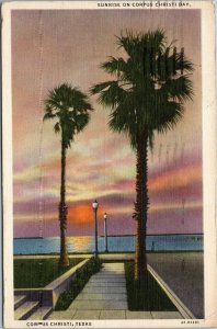 Sunrise on Corpus Christi Bay with palm trees Texas postcard