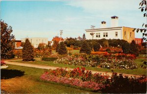 Red Deer Alberta Park & Fire Hall Fire Department Vintage Postcard E98