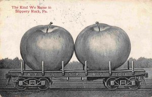 Apples Exaggeration AT&SF Railroad Car Slippery Rock Pennsylvania 1911 postcard