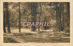 Old Postcard Chateau de Valliere (I and L) of the Chateau Perree A Allee Park