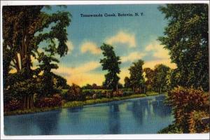 Tonawanda Creek, Batavia NY