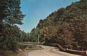 Winding through the Catskill Mountains on Rip Van Winkle Trail NY, New York