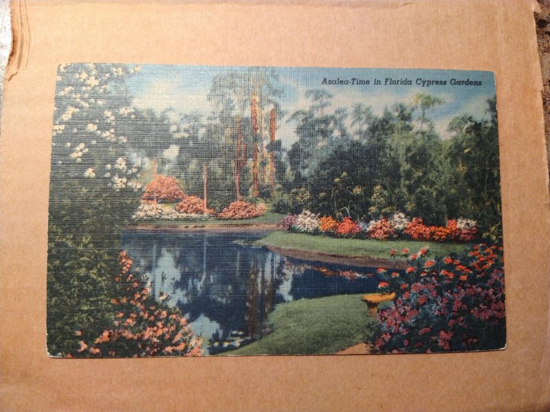 1940s Azalea Time in Florida Cypress Gardens Linen Postcard