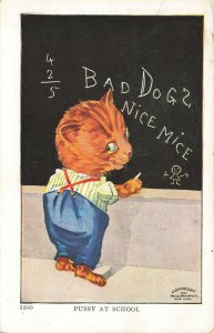 Pussy At School Cat At The Blackboard Ullman Postcard