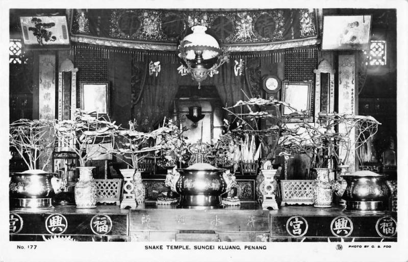 Penang Malaysia Snake Temple Real Photo Antique Postcard J40518