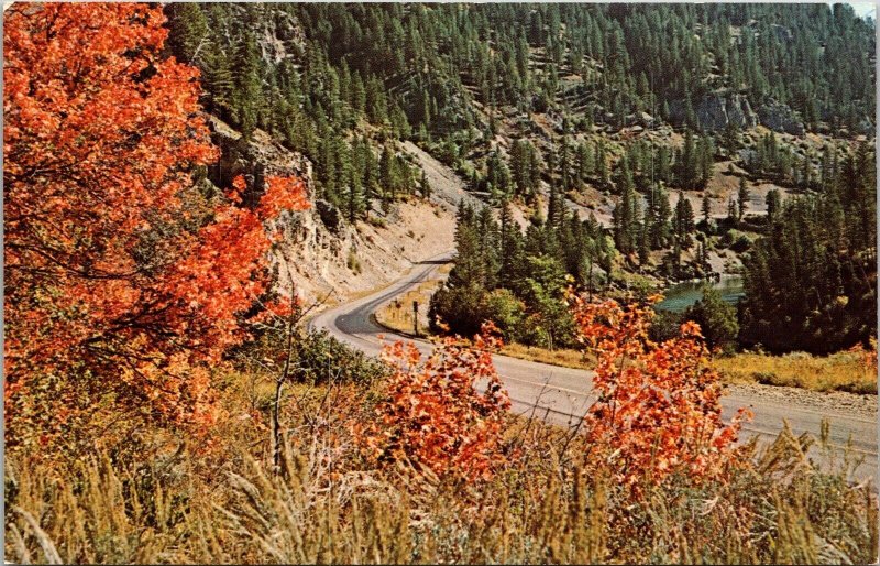 Snake River Canyon Highway 26 Jackson Alpine Wyoming Postcard Pine UNP