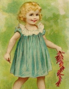 1870's-80's C.A. Dorney Furniture Co. Adorable Girl In Blue Dress Grass P172