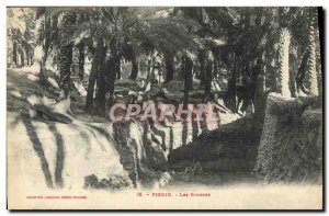 Old Postcard Figuig Les Sources