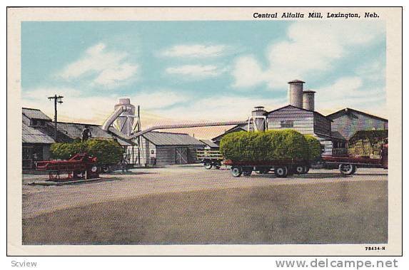 Central Alfalfa Mill, Lexington, Nebraska, 30-40s
