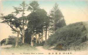 C-1910 Watchley Place Hakone hand colored Japan postcard 5724