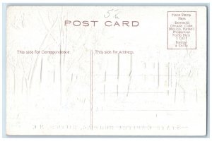 c1910 State Capitol Building Raleigh North Carolina NC Vintage Embossed Postcard