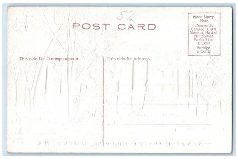 c1910 State Capitol Building Raleigh North Carolina NC Vintage Embossed Postcard