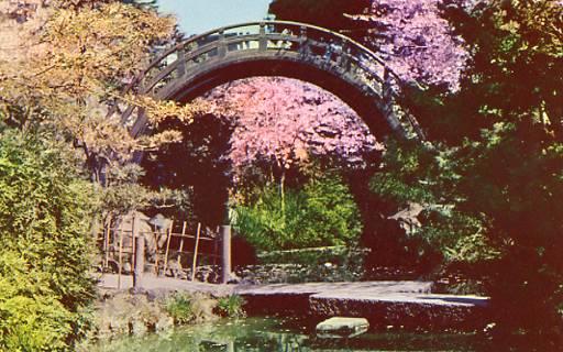 CA - San Francisco, Japanese Tea Garden in Golden Gate Park- Moon Bridge