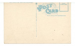 Canada - BC, North Vancouver. Capilano Canyon