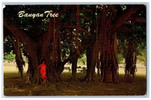 Maui Hawaii HI Postcard Banyan Tree With Its Aerial Root System c1960's Vintage