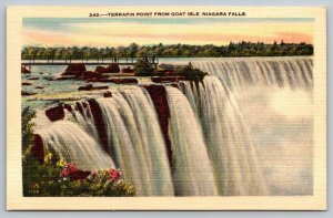 Terrapin Point From Goat Isle  Niagara Falls   New York   Postcard