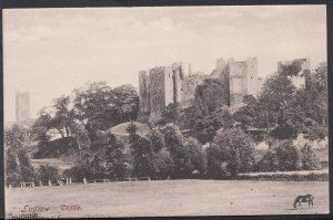 Shropshire Postcard - Ludlow Castle    DR600