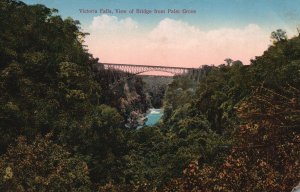 Vintage Postcard Victoria Falls View of Bridge From Palm Grove Mountains Trees