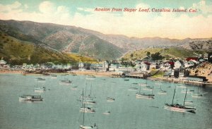 Vintage Postcard Avalon From Sugar Loaf Boats & Ships Catalina Island California