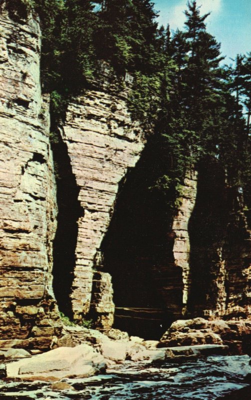 Vintage Postcard Elephant's Head Ausable Chasm New York NY