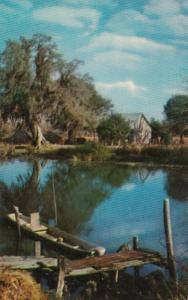 Mississippi Scene Along The Bayou