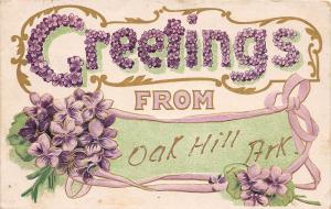 D73/ Oak Hill Arkansas AR Postcard c1910 Greetings from Oak Hill Ark