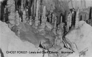 1940s Ghost Forest Lewis Clark Caverns Montana Groganized RPPC Real Photo 2552