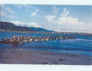 1950's FISHING FROM JAWS ON ROGUE RIVER Postmarked Agness Oregon OR Q0991