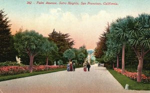 Vintage Postcard 1910's Palm Avenue Sutro Heights San Francisco California CA