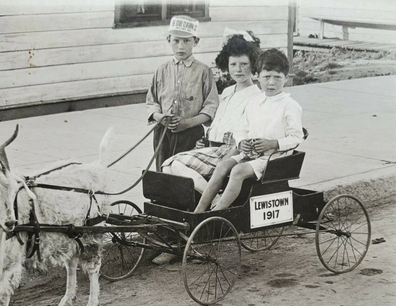 1917 RPPC Postcard Lewistown Kids goat Pulled cart Star Clothing Co Ad 