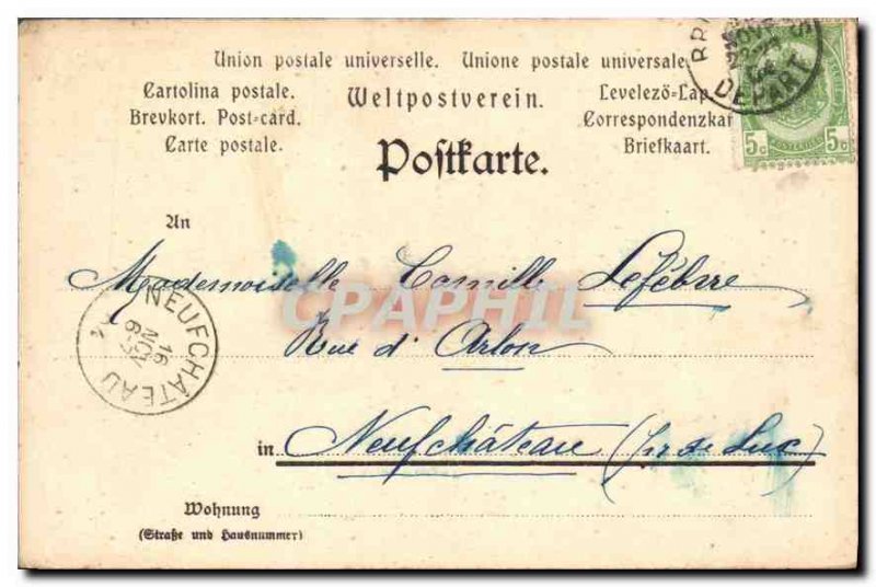 Old Postcard Bird Flowers