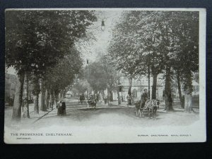 CHELTENHAM Promenade ANIMATED SCENE & OVERHEAD STREET LIGHTING c1906 Postcard