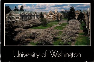 University of Washington Quadrangle Postcard PC148