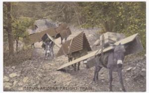 Donkeys Carrying Materials Arizona Freight Train 1900's C...